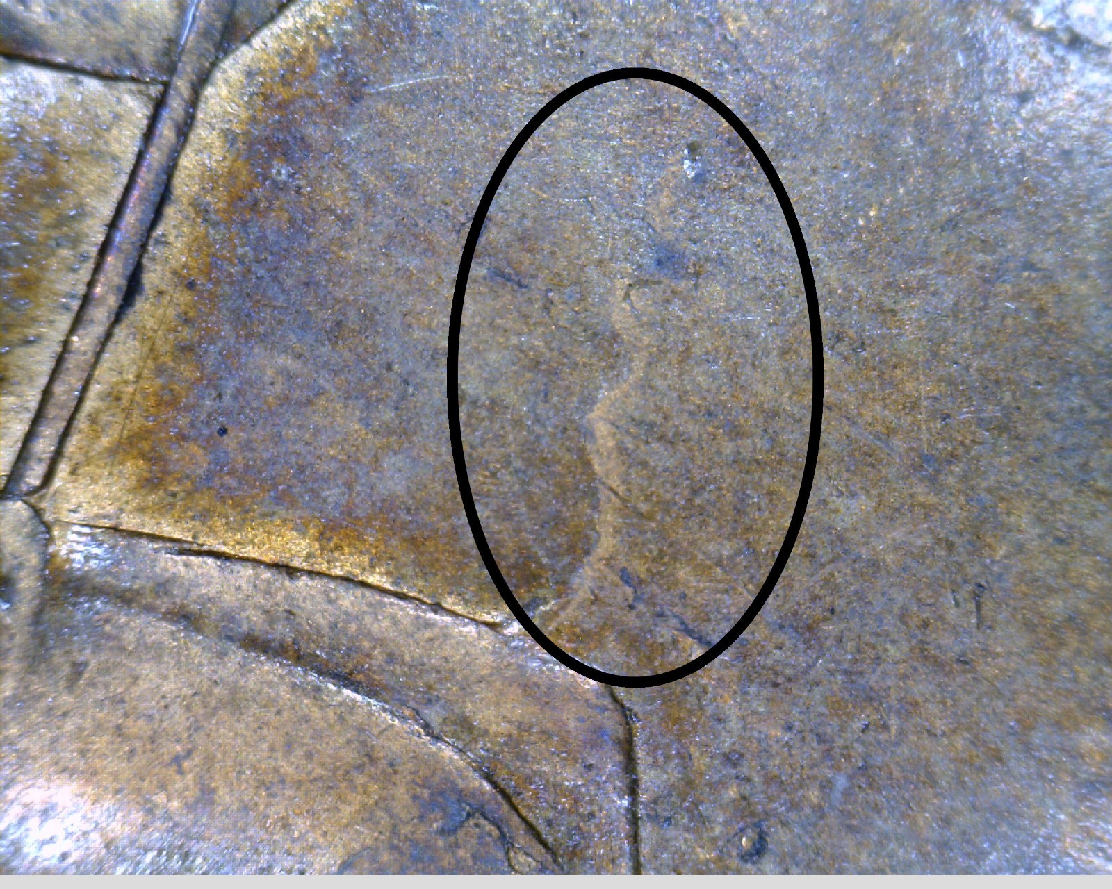 1860  FREEMAN-13  PENNY - WEAK MISSING LCW, SMOKING KNEE - AS IMAGED!! (BBP-082)