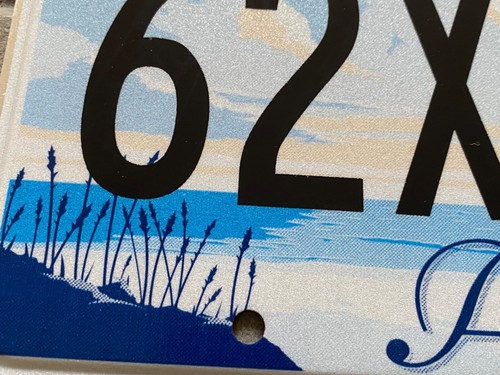 TARGA originale USA auto ALABAMA grafica lago stagno natura license plate placa - Picture 4 of 7