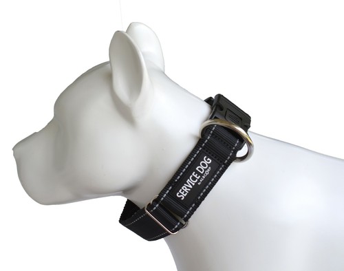 ALBCORP Reflective Service Dog Collar- Rubber Patch-Durable Nylon - Picture 25 of 54