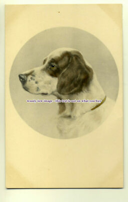 an0098 - Porträt des Waffenhundes, von M.M.Vienne, Nr. 192 - Postkarte
