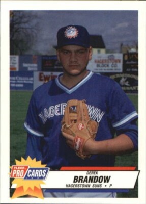 B3144- 1993 Fleer/ProCards Minor League BB Trading Cards Gruppe 7 - Du Wählst