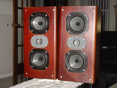 focal audiom tlr
