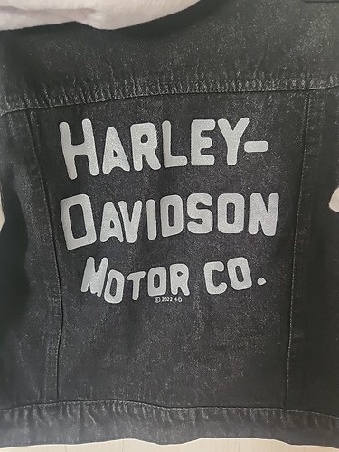 4/5t Kids Harley Davidson Button Up Hooded Jacket Black & Grey Youth - Picture 5 of 10