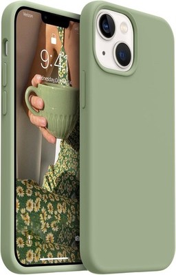 AOTESIER Magnetic iPhone 13 Mini Case Tea Green New