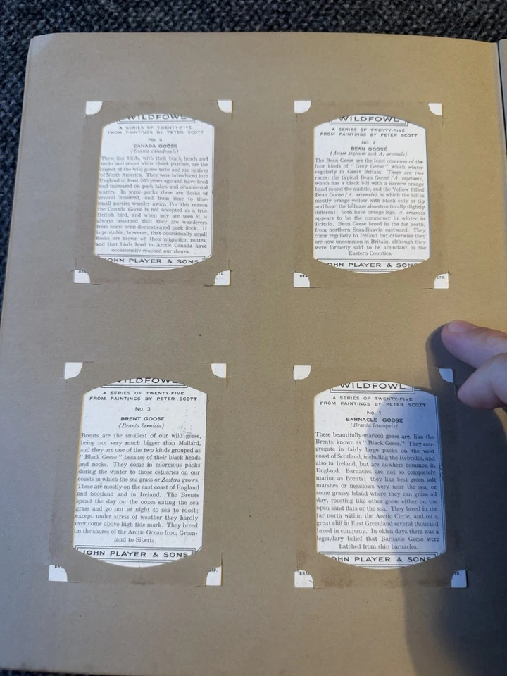 Player’s Wild Fowl (1937) Full Set L25 Cigarette Cards In Album - VG+ Excellent - Image 3 of 4