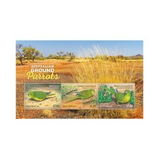 Australia - Australian Ground Parrots