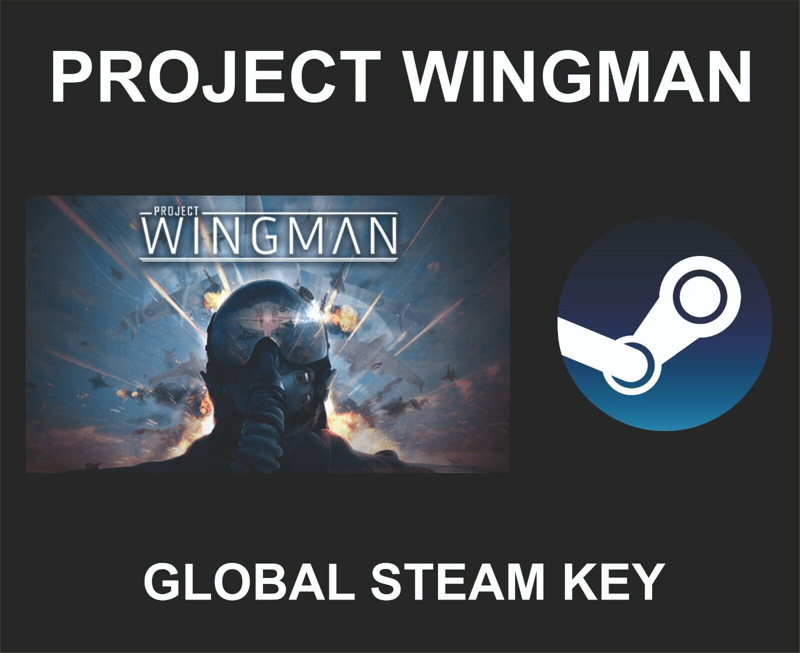 WingMan no Steam