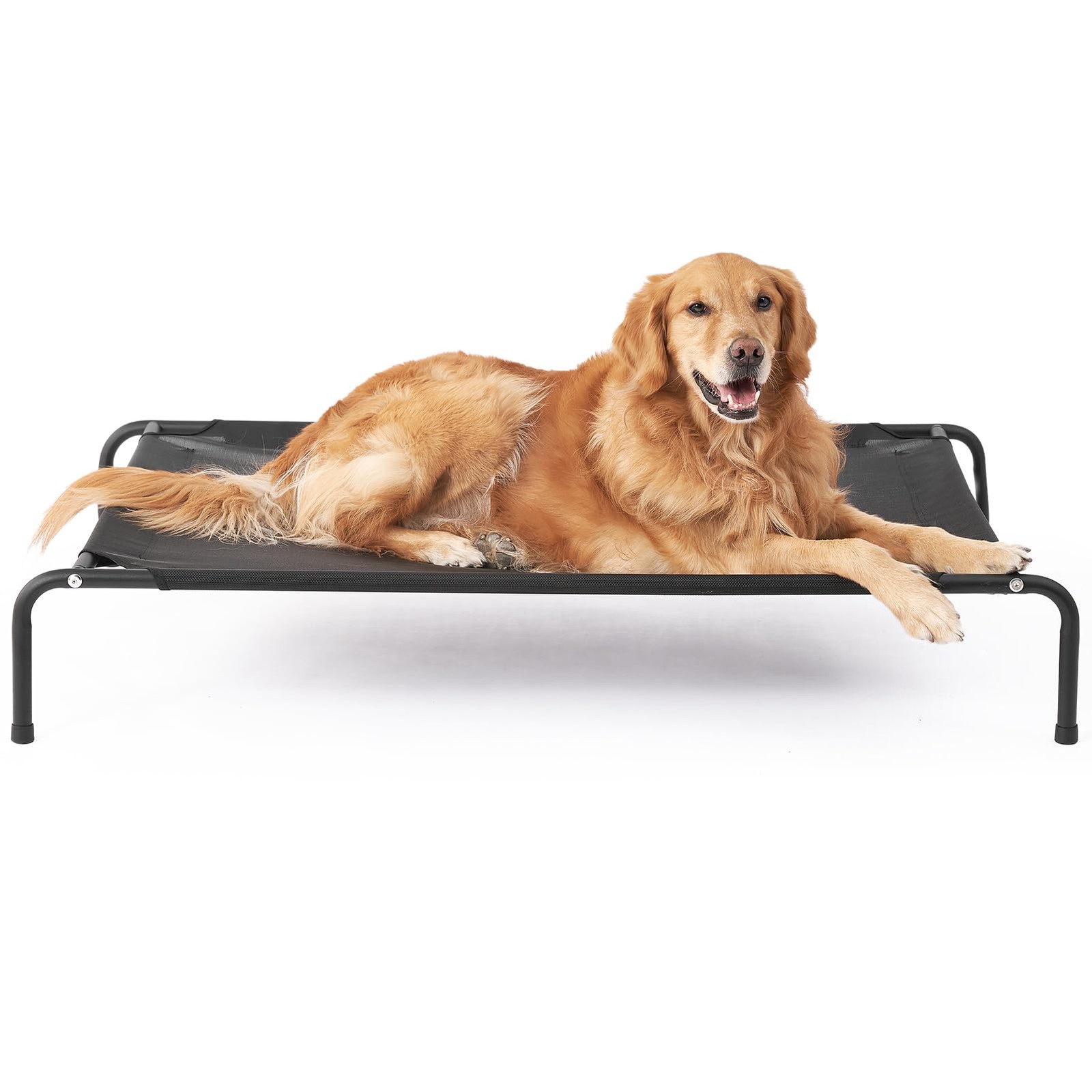 Elevated XL Dog Cot Bed, Raised Outdoor Dog Hammock for Extra Large XLarge Do