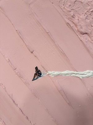 Werner Bronkhorst Inspired Commissioned artwork painting | eBay