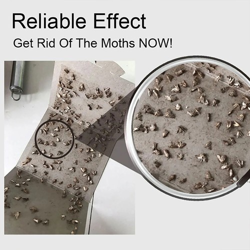 5/10/15PCS Moth Traps Clothes And Pantry Moth Traps Sticky Safe Fly Catcher - Picture 6 of 16