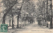 88 LAMARCHE AVENUE DES TILLEULS - 3115