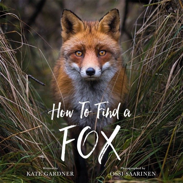 How to Find a Fox by Kate Gardner NEW Free UK Delivery - Image 4