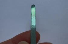 Huge Amazing Glowing Neon Green Paraiba Tourmaline Crystal Gem 64.18MM 15.65CT
