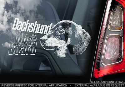 Dackel - Auto Fenster Aufkleber - Hund an Bord Schild, Kurzhaar Teckel - TYP2
