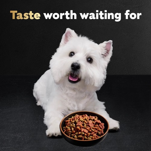 3 Pack Cesar Filet Mignon And Spring Vegetables Dry Dog Food, 5 Lb Bag - Picture 5 of 11