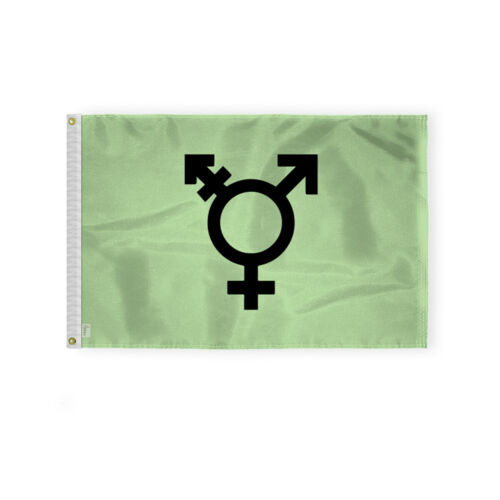 Israel Trans Flag-Single Sided Printed-Brass Grommets- Fade Proof Colors - Picture 3 of 15