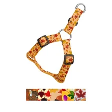 Country Brook Petz® Step-In Dog Harness - Awesome Autumn Collection