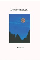 Tekkan | Everyday Mind Xvi | Taschenbuch | Englisch (2020) | Barry Macdonald