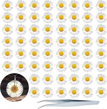 ALJ White Dried Pressed Flowers for Resin Crafts, 60PCS Natural Real Pressed ...