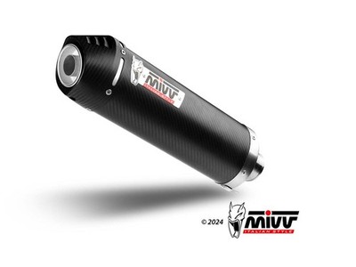 MIVV CARBON AUSPUFF OVAL SUZUKI GSX-R 1000 2005 - 2006