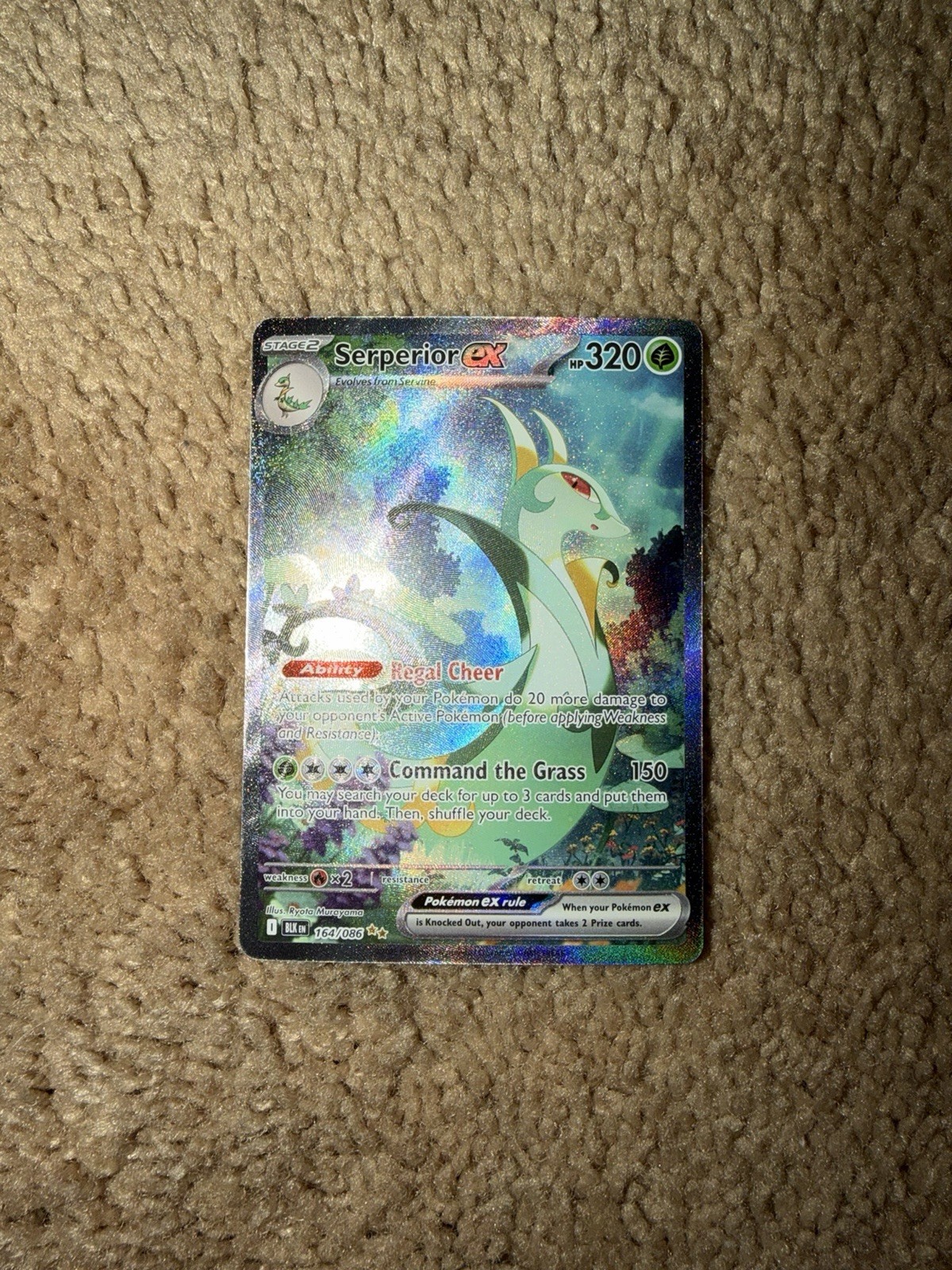 Serperior EX 164/086 NM+ Black Bolt Illustration Rare