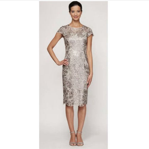 Alex Evenings Dress Sequin Embroidered Lace Sheath Metallic Modest Event Sz 10