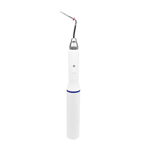 Dental Endo Gutta Percha Obturation beheizter Stift/Endo Buchanan Hand Plugger Spitzen - Bild 21 von 27