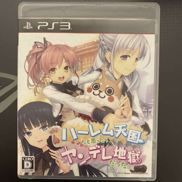 It was Yandere hell if you think it's harem heaven PS3