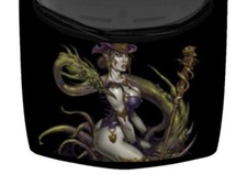 Colorful Fantasy Sorceress By Dragon Hood Wrap Vinyl Car Truck Graphic Decal