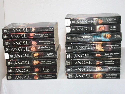 Lot 16 Angel Media TV Vampire Series Tie-In Paperback Books