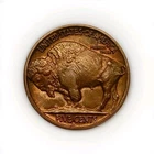 Album Vintage TONED 1938-D BUFFALO CHOICE BU NICKEL