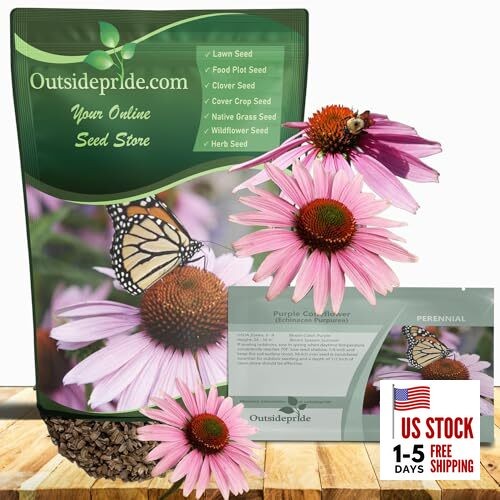 Purple Echinacea Coneflower Seeds - 1000 Pcs Perennial, Deer-Proof 1000  Seeds | eBay