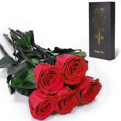 Yamonic Ewige Rose Geschenke für Frauen,Infinity Rose mit Stiel
