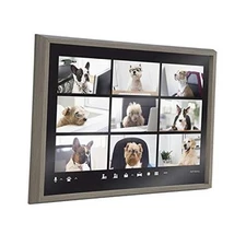  Blake Video Chat Dogs Framed Printed Glass Wall Art by The Creative Bunch 
