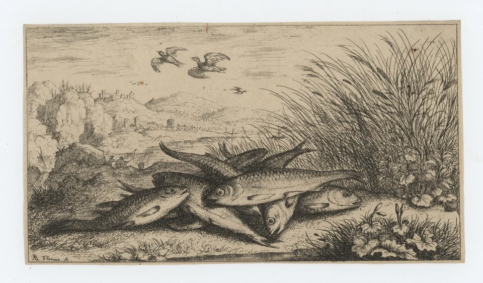 Albert Flamen Fische am Seeufer Tierstudie Barock plattensign Kupferstich 17 Jhd - Bild 2 von 4