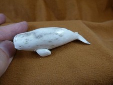 Whal-w117 littl white baby Beluga Whale shed ANTLER figurine Bali detailed
