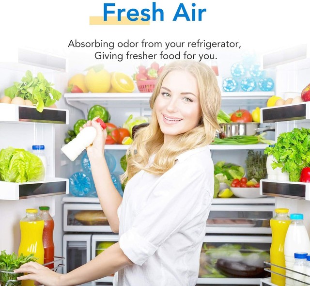 IcePure Refrigerator Air Filter Replacement for LG ...