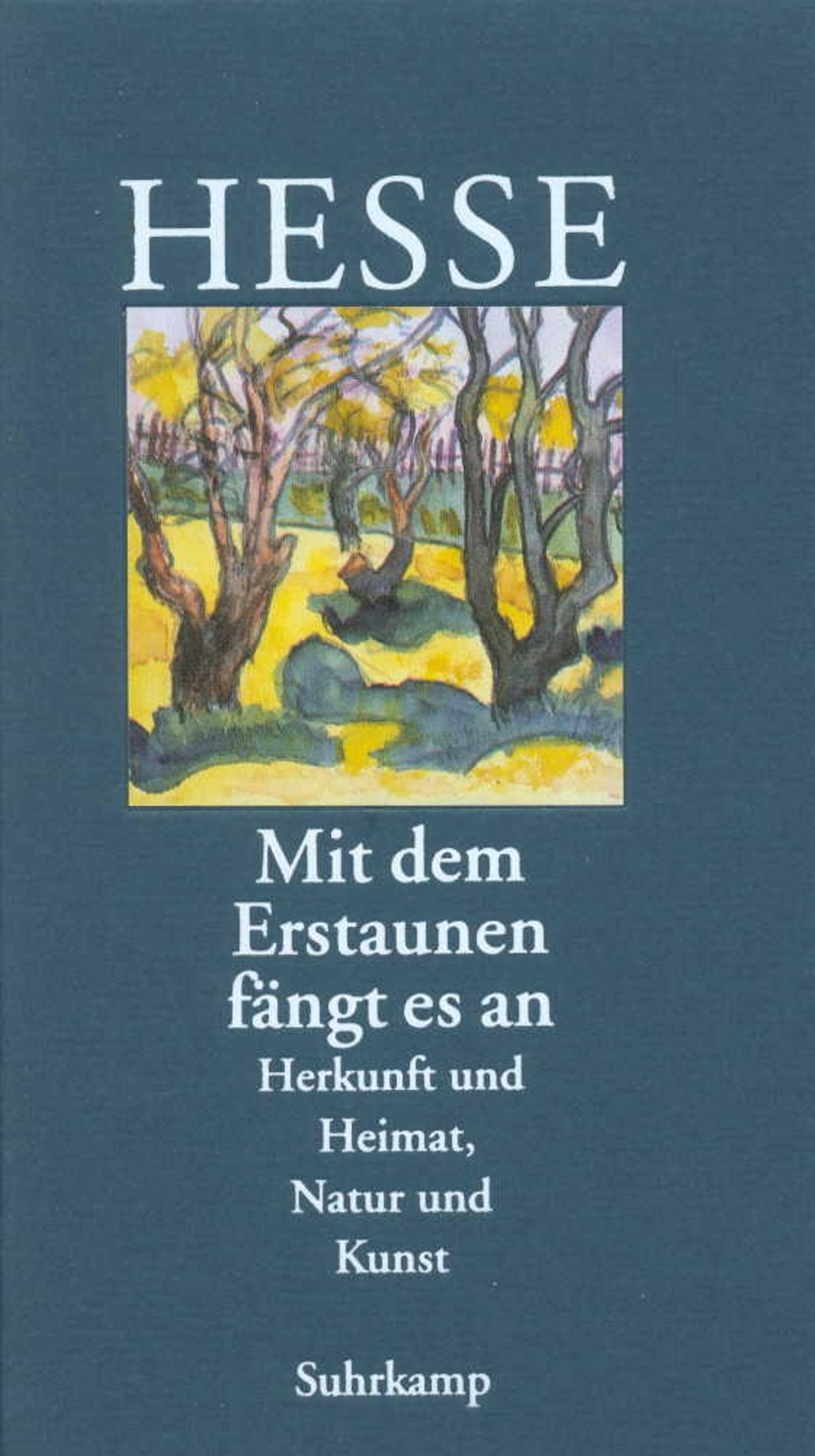 Hermann Hesse / Mit Dem Erstaunen Fängt Es An9783518035887
