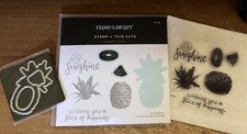 CTMH Z7168 THIN CUTS  B1864 PINEAPPLE SUNSHINE  Wishing you a slice happiness