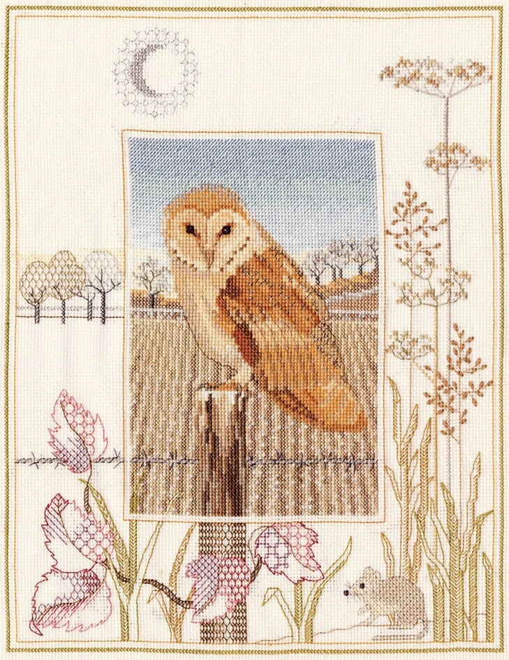 Bothy Threads Derwentwater Designs Wildlife - Barn Owl Counted Cross Stitch Kit