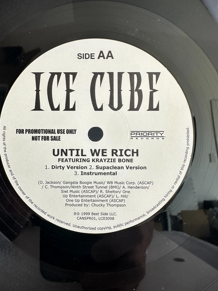 Ice Cube Rap & Hip-Hop Very Good (VG) Sleeve Vinyl Records for