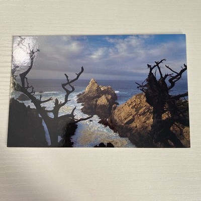 Pinnacle Cove Point Lobos State Reserve Hwy 1 Postcard UNP VTG Unused