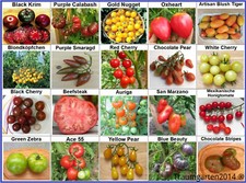 Tomaten Set 1: Tomatensamen alte Sorten 20 Arten Saatgut  samenfest