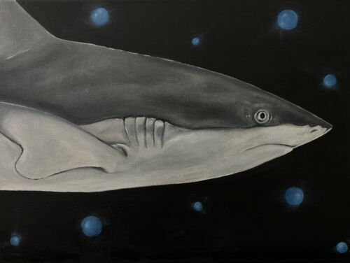 Rubens Fogacci- Requin Swimming entre Les Mondes - 40x30 Cm- Huile Sur Toile - Afbeelding 1 van 4