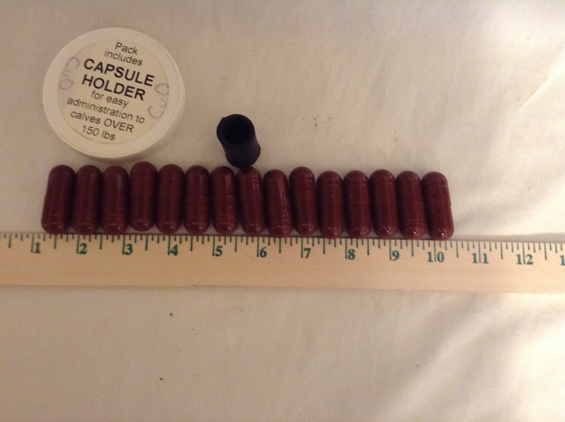 Copper Veterinary Capsules for Large Adult Livestock.  Coprasure?