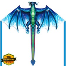 Kaiciuss Dragon Kite Easy to Fly, 300ft String, Kids Adults Beach Toy