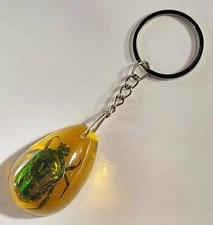 Real Insect Crab Bug Beetle Hornet Scorpion Keychain in Amber Color Lucite Resin