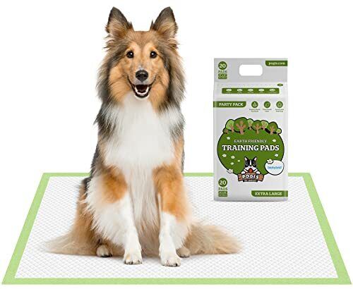 Training Pads - Extra Large Super Absorbent Tabs for Medium to Large Sized Dogs - Picture 1 of 9