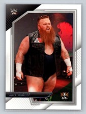 2022 Panini NXT 2.0 WWE #28 Dave Mastiff