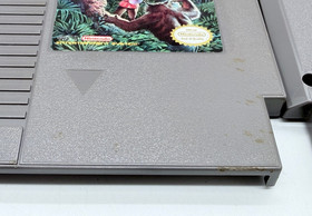 Crystalis (Nintendo Entertainment System NES , 1990) TESTED & WORKS